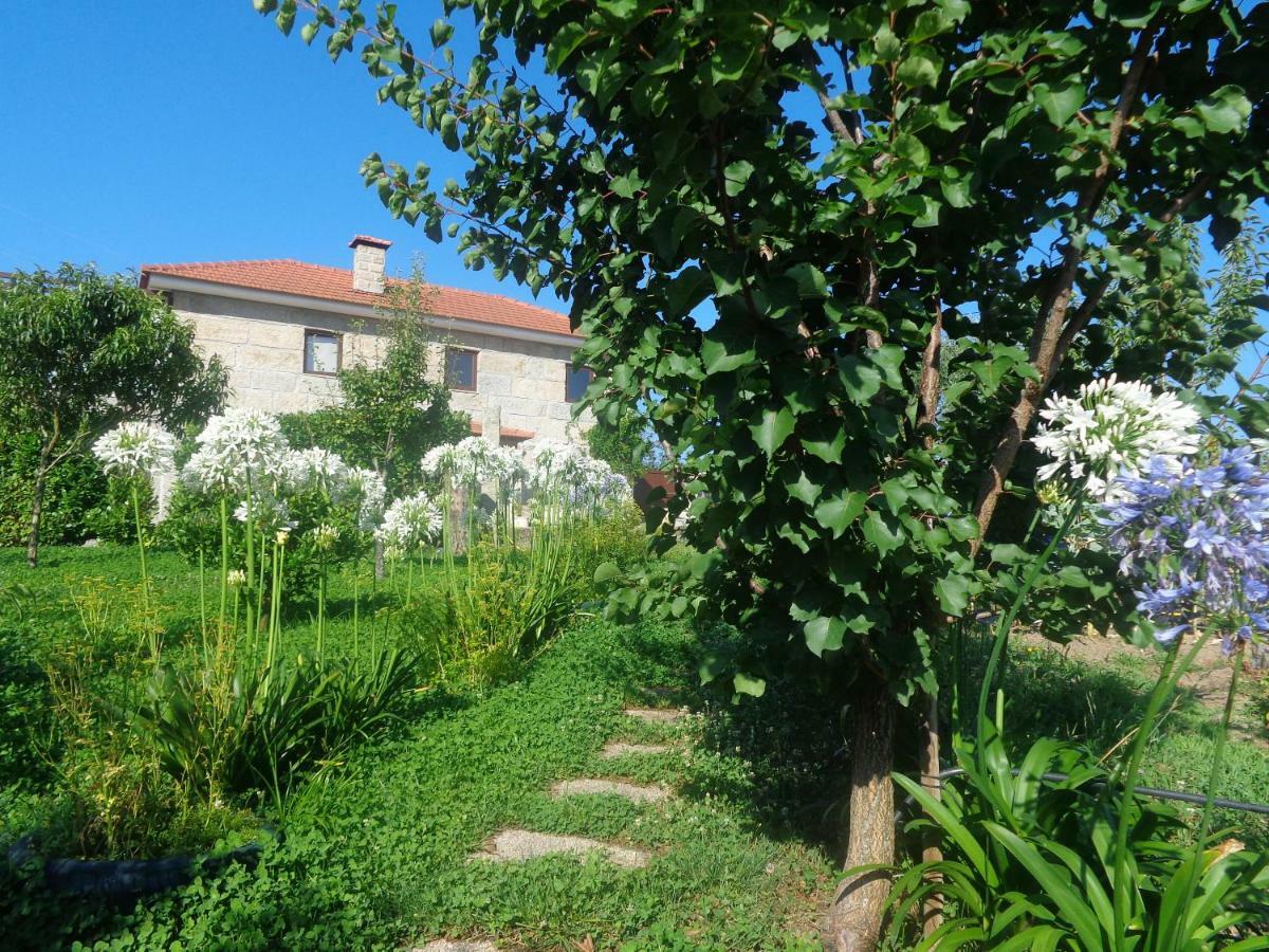 Affittacamere Bernardes House Castelo de Paiva Esterno foto