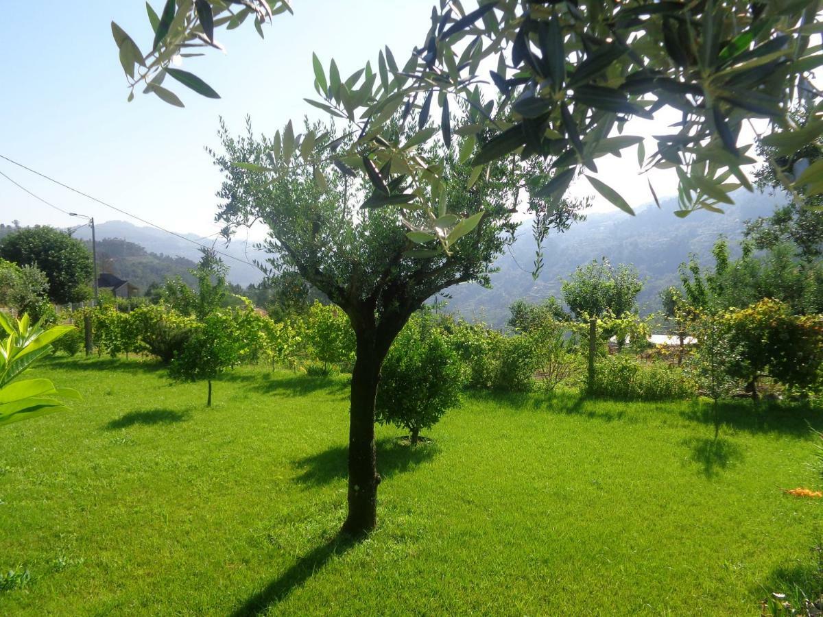 Affittacamere Bernardes House Castelo de Paiva Esterno foto