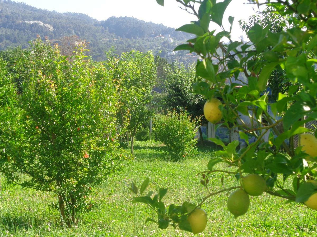 Affittacamere Bernardes House Castelo de Paiva Esterno foto